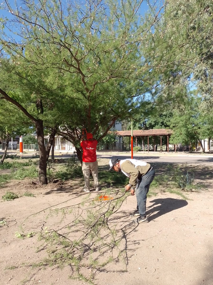 JorgeCeballoslr's tweet photo. ¡ESTAMOS TRABAJANDO!🌄⚠️👍

Nuestro equipo operativo está llevando a cabo tareas de barrido, corte de malezas, poda y levantamiento de montículos en el Barrio Hospital.

Nuestro objetivo: prevenir la propagación del Dengue y mantener este sector de la Ciudad limpio y seguro. https://t.co/B8HeTHWCSr