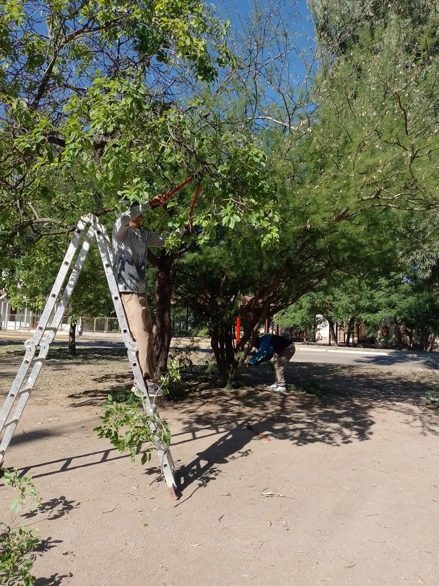 JorgeCeballoslr's tweet photo. ¡ESTAMOS TRABAJANDO!🌄⚠️👍

Nuestro equipo operativo está llevando a cabo tareas de barrido, corte de malezas, poda y levantamiento de montículos en el Barrio Hospital.

Nuestro objetivo: prevenir la propagación del Dengue y mantener este sector de la Ciudad limpio y seguro. https://t.co/B8HeTHWCSr