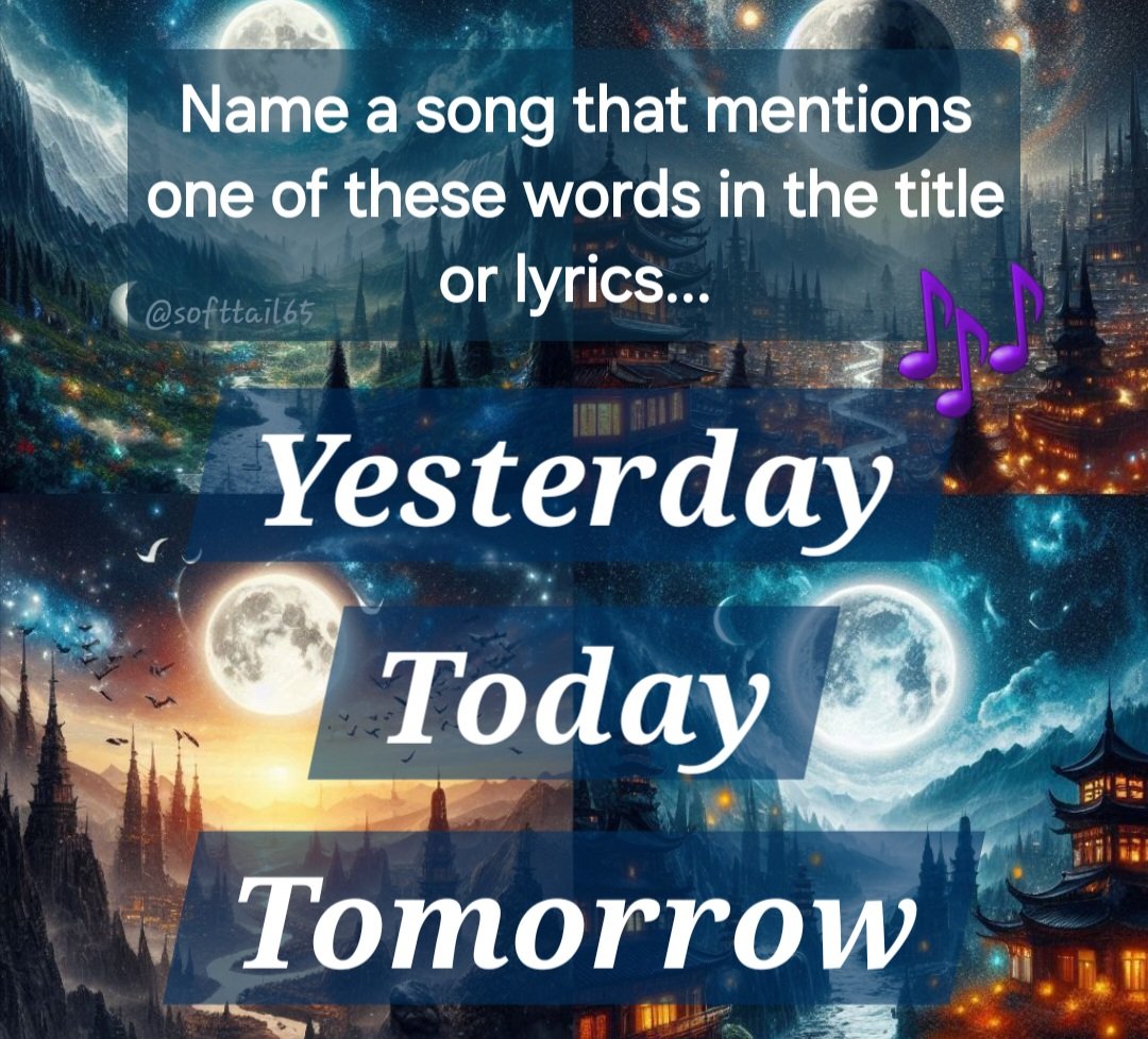 Monica 🌊🌻💙🏳️‍🌈 (@softtail65) on Twitter photo 