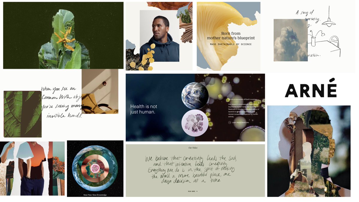 Jessica Strelioff tweet media