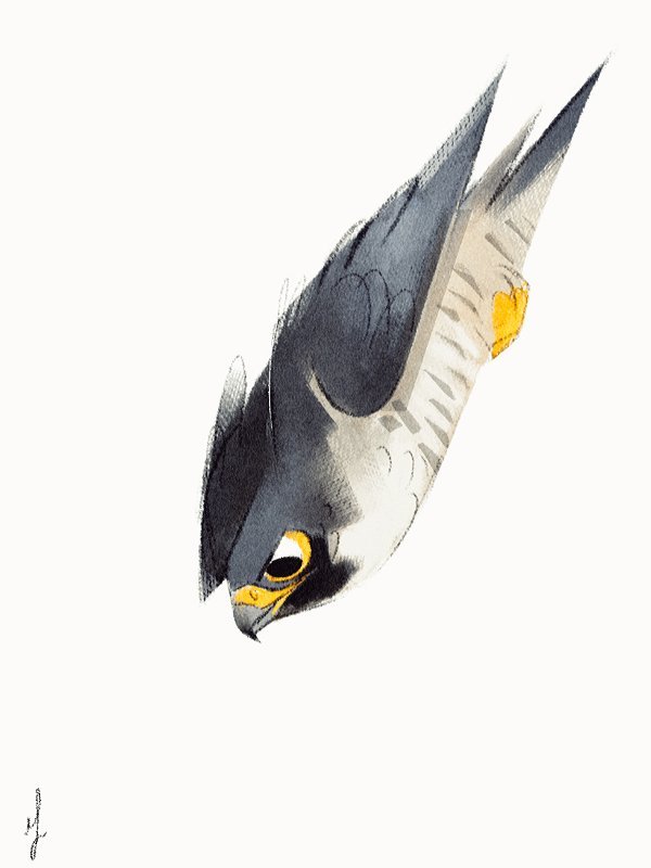 Skia𓅃 (@alopex) on Twitter photo 