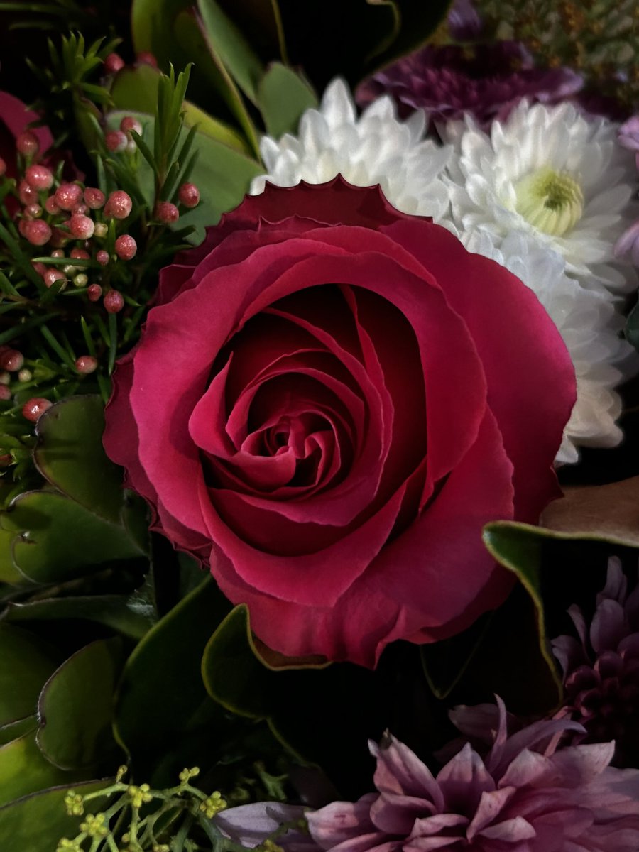 paulinewrites's tweet photo. #afloweraday #justcos https://t.co/7SfkT7omQU