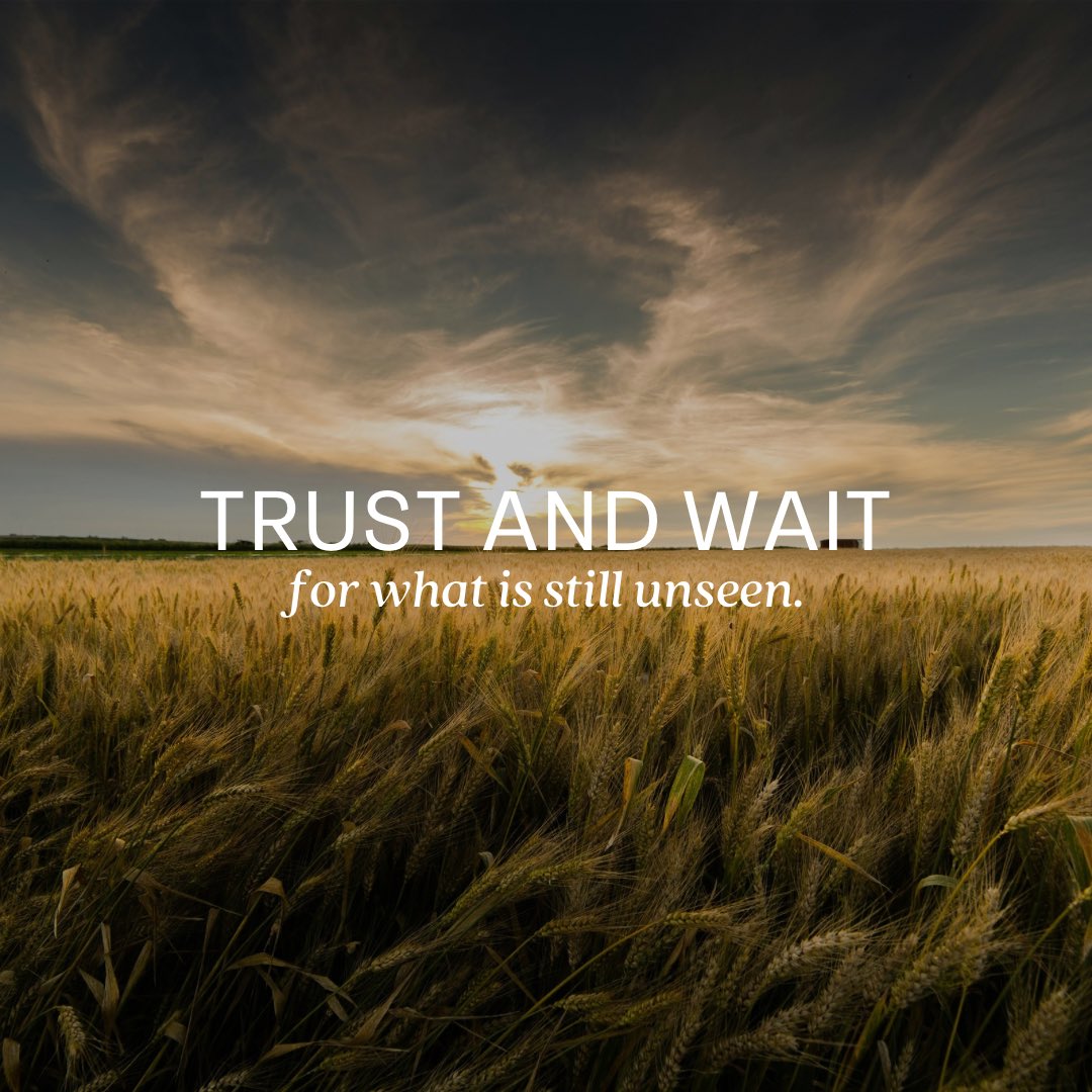 Psalm 37:7: "Be still before the Lord and wait patiently for him; fret not yourself over the one who prospers in his way, over the man who carries out evil devices!"