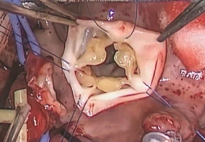 Igor Konstantinov tweet media