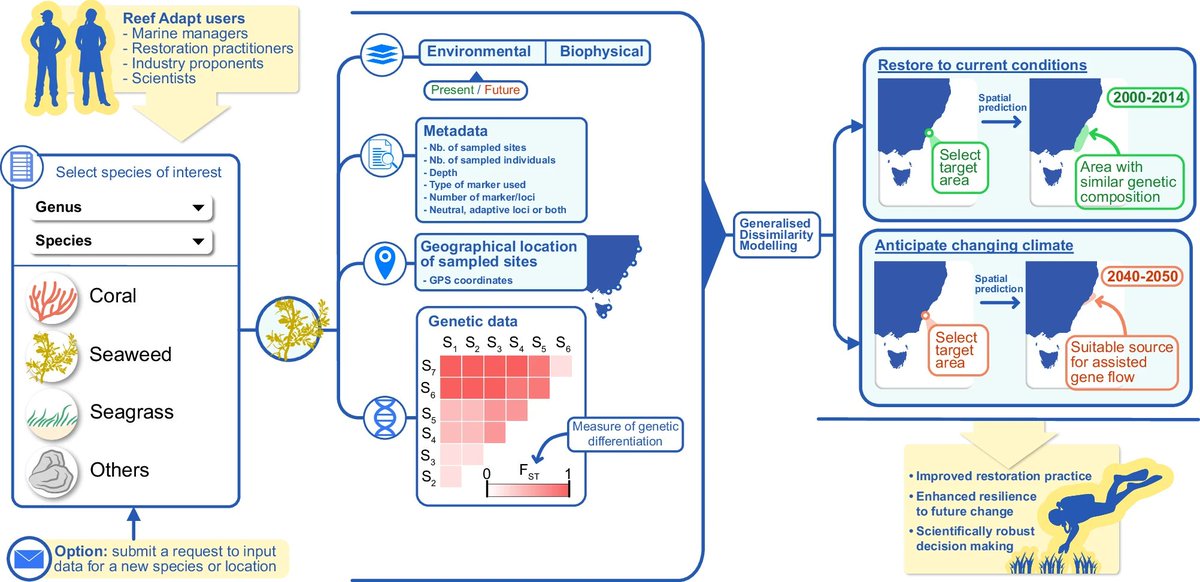 George Wood (@georgevalentin_) on Twitter photo 📢 Excited to finally release our new tool ReefAdapt.org - making genomic information more accessible for #marinerestoration. Out now <a href="/CommsBio/">Communications Biology</a>
nature.com/articles/s4200…
<a href="/uwaoceans/">UWA Oceans Institute</a> <a href="/UWAresearch/">UWA Research</a> <a href="/Flinders/">Flinders University</a> 📢 Excited to finally release our new tool ReefAdapt.org - making genomic information more accessible for #marinerestoration. Out now <a href="/CommsBio/">Communications Biology</a>
nature.com/articles/s4200…
<a href="/uwaoceans/">UWA Oceans Institute</a> <a href="/UWAresearch/">UWA Research</a> <a href="/Flinders/">Flinders University</a>