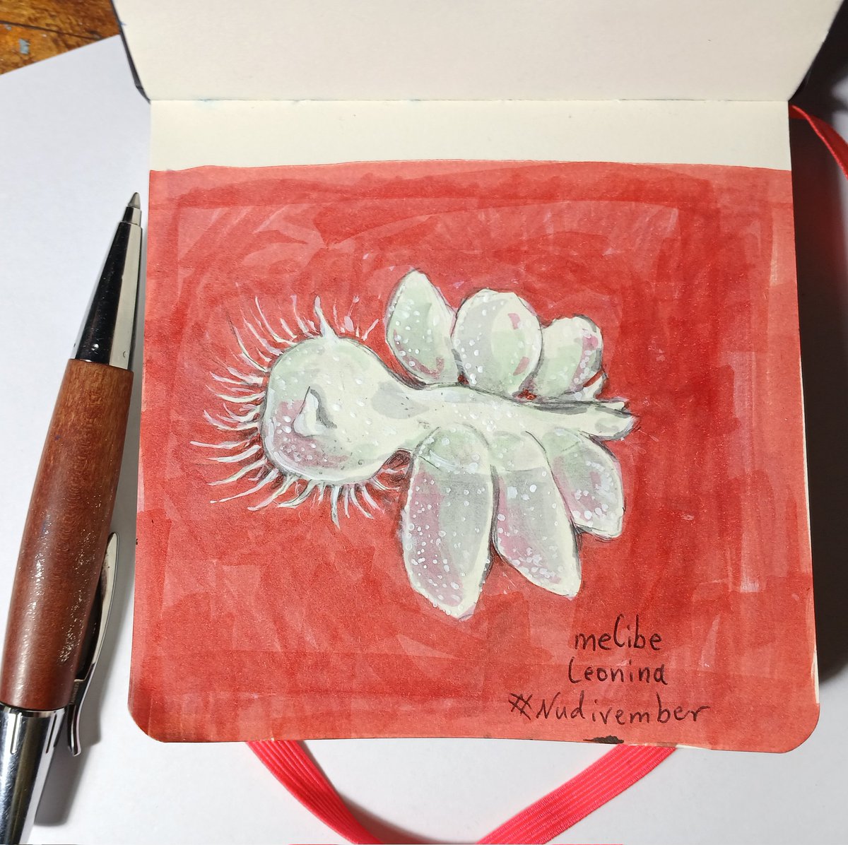 greyauk's tweet photo. very quick sketch before bed for #Nudivember 💤
melibe leonina #sciart https://t.co/pyiEEHmm2i