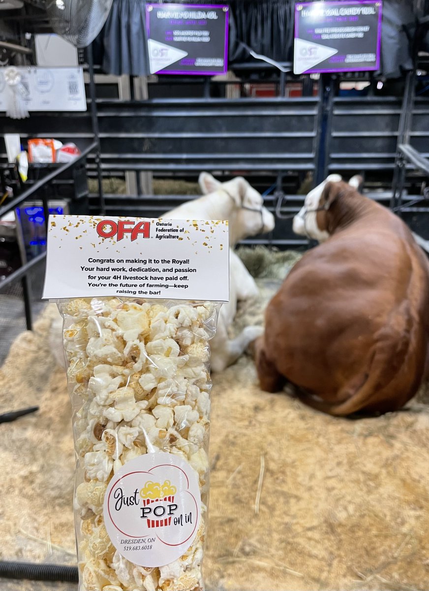 OntarioFarms's tweet photo. 🚨We had such an amazing time this afternoon handing out popcorn to the @4HOntario youth competing in the beef show today at #RAWF102 We are so proud of the next generation and appreciated the opportunity to connect with them and wish them luck in the ring. Keep raising the bar! #ontag