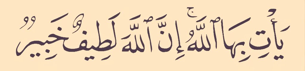 ريما tweet media