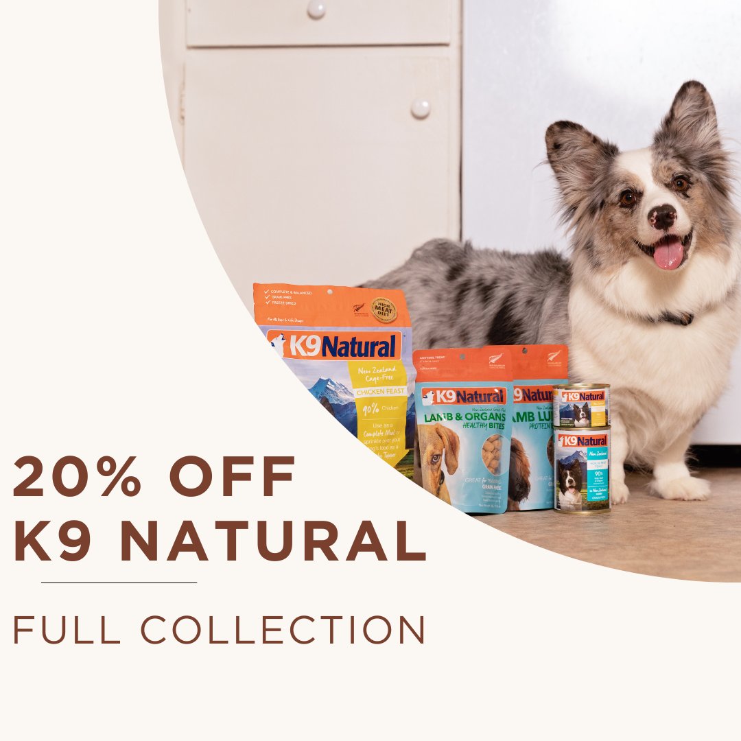 Healthy Spot tweet media