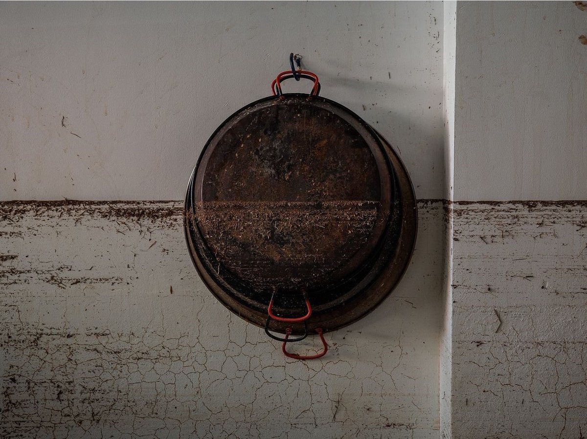 València en dol.

<a href="/bieluno/">Biel Aliño</a>