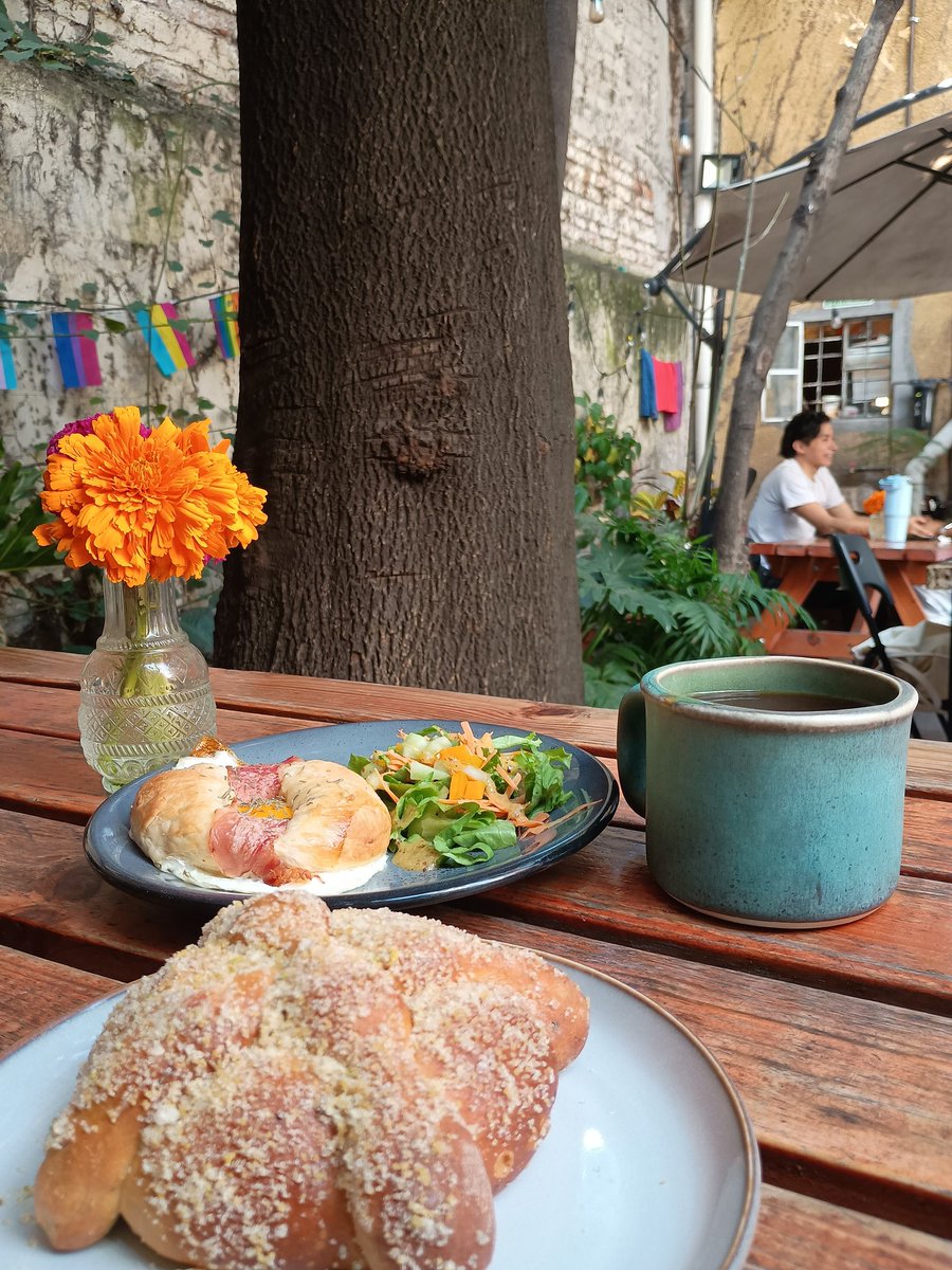 _edufu's tweet photo. Antier tocó Buendía Pan y Café... porque ejercicio mañanero, pan de muerto y cempasúchil se han vuelto mi top. https://t.co/lOEVdvBgzq
