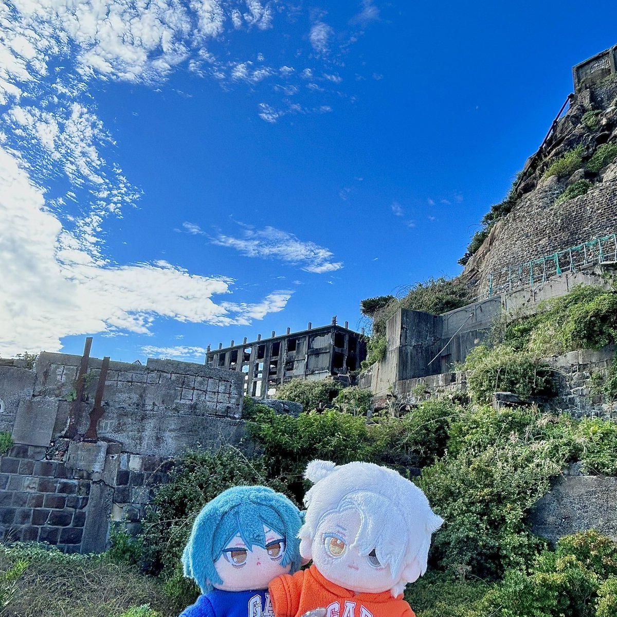 nomu_nui's tweet photo. 長崎ぬい旅行⛴️🏵️ https://t.co/LSomVCQyy6