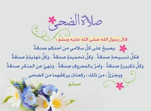 ​❥..H..❥ tweet media