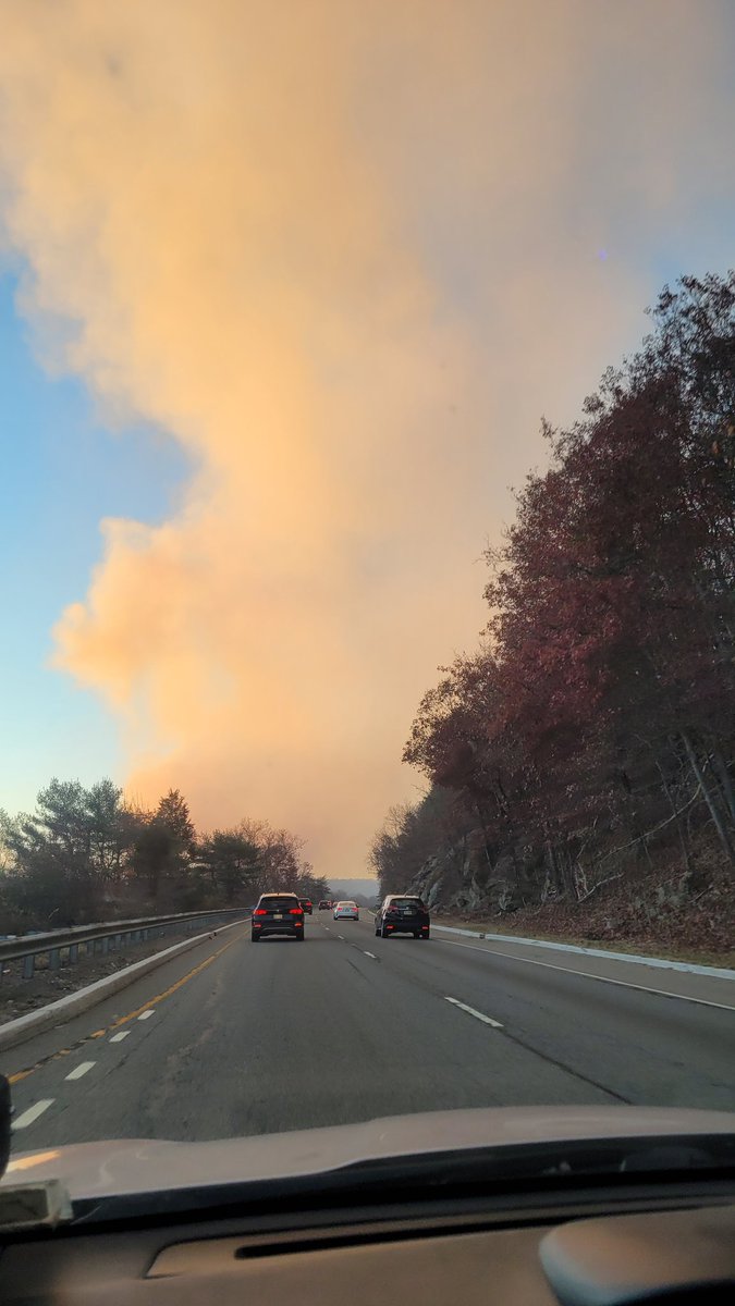 OneOceanTen 🐙 Back On Twitch! tweet media