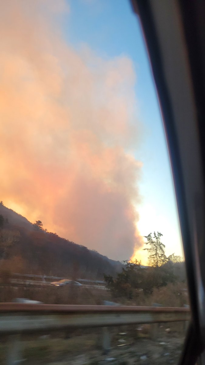 OneOceanTen 🐙 Back On Twitch! tweet media