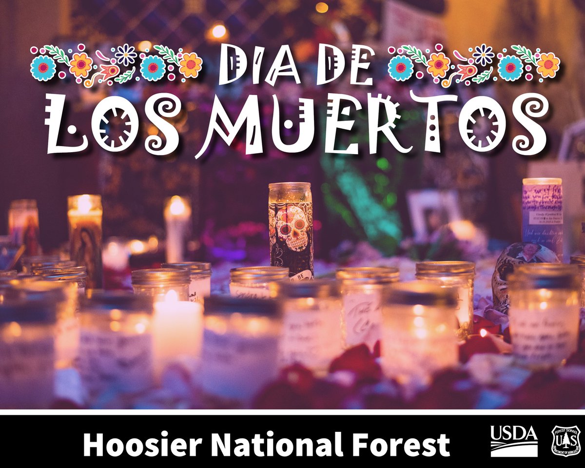 Hoosier National Forest tweet media