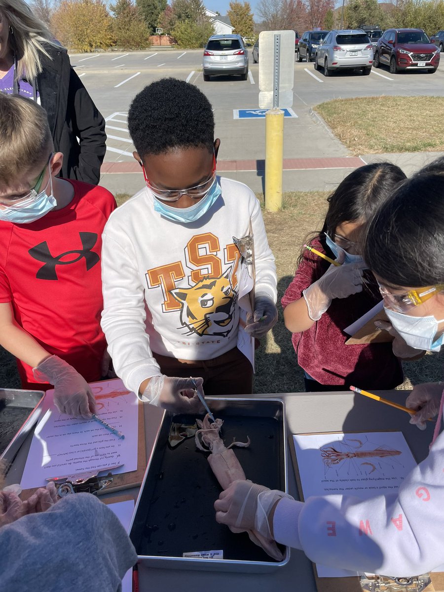 Bellevue Elementary tweet media