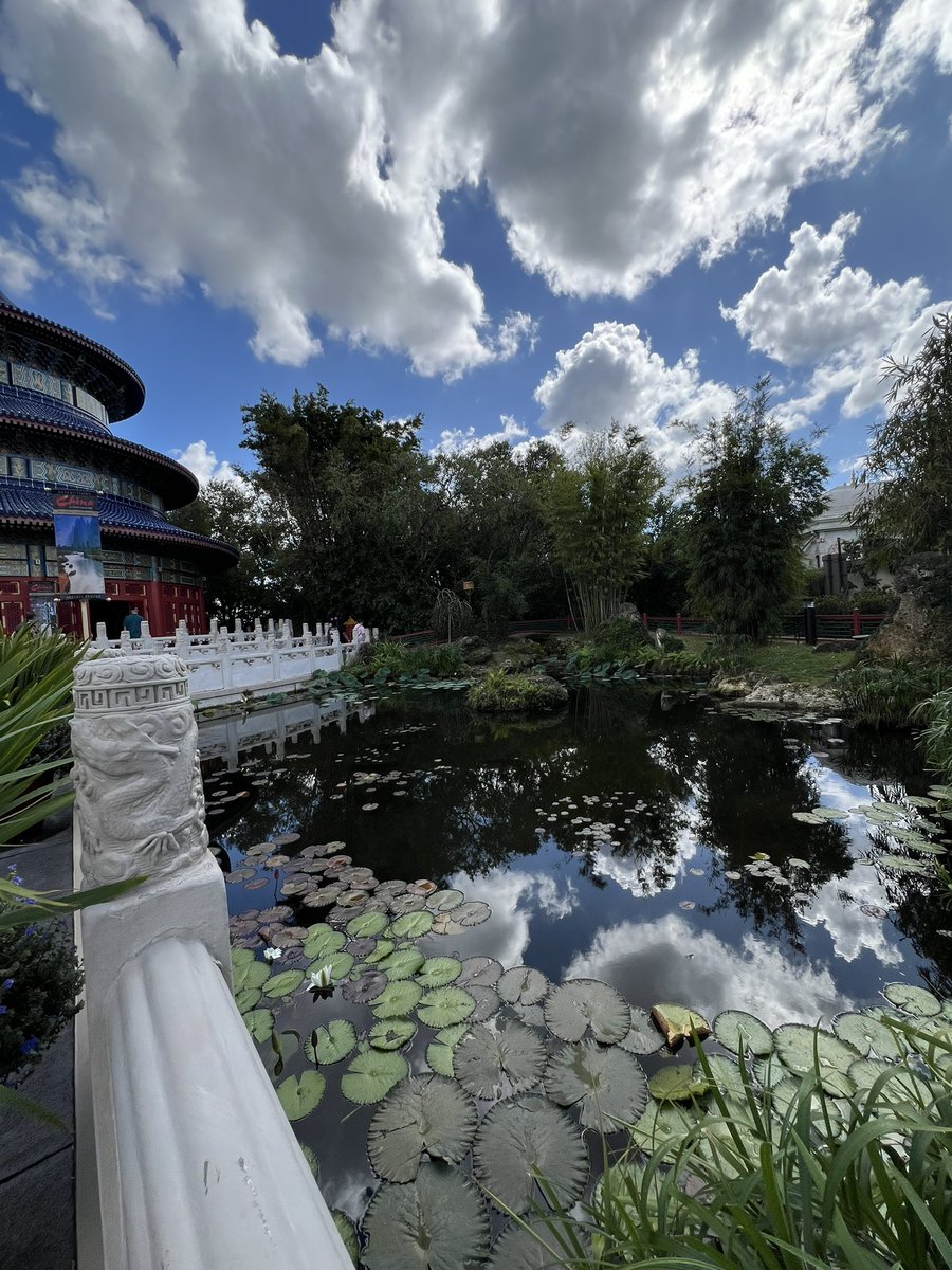 TCWHITTYY's tweet image. Had a great week