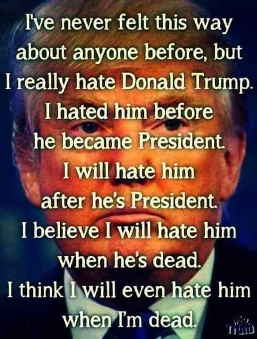 As long as I've known Donald Trump, I've never liked him, but after he became POTUS, I hated him even more, because he never tells the truth, he only cares about himself, he's a traitor, a rapist, and a racist. I think I'll always hate Trump! Who else feels the same way?  🤔