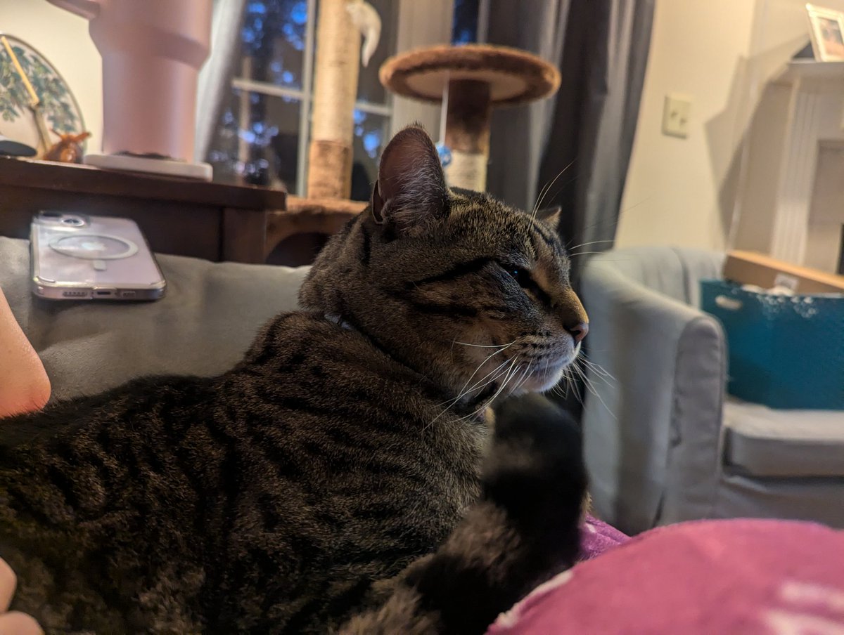 Drisoth's tweet image. 