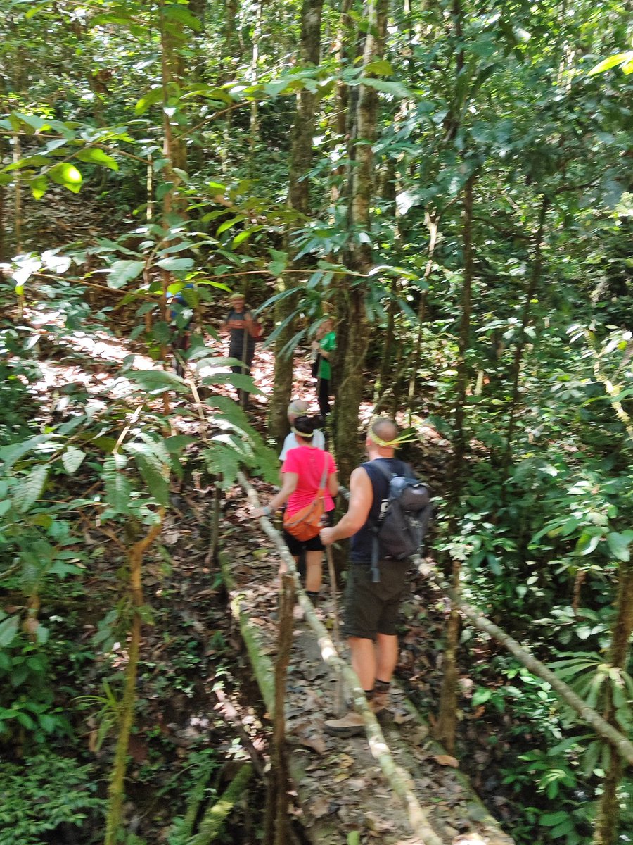 Camp Ecuador tweet media
