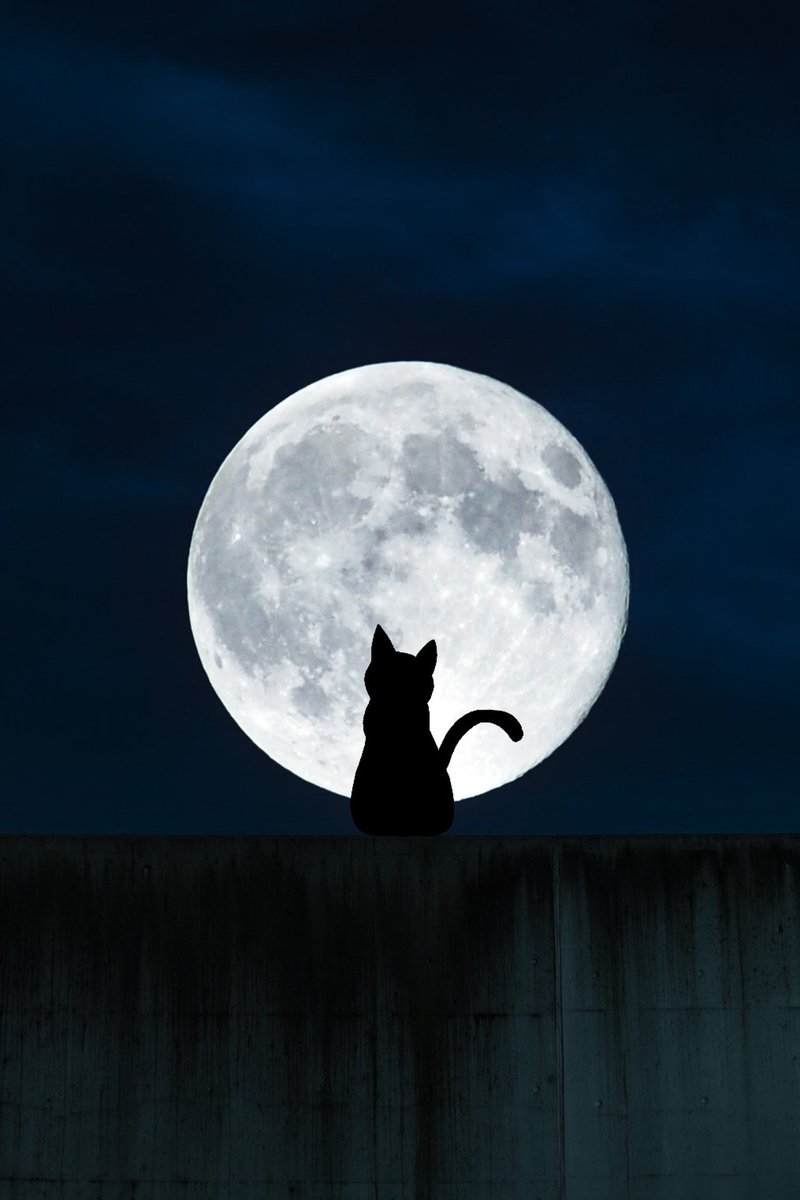 Happy 🖤 #Halloween