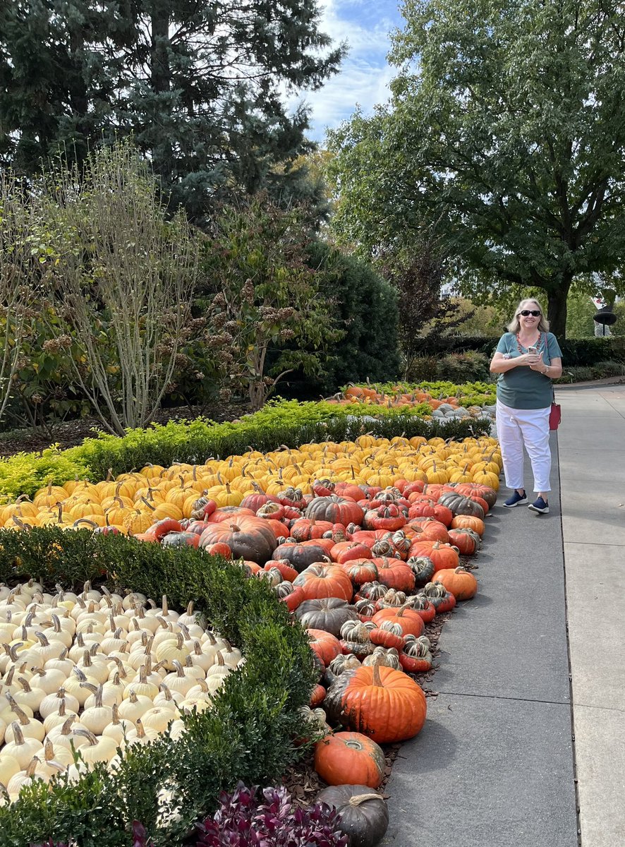 Heidi Rambles tweet media