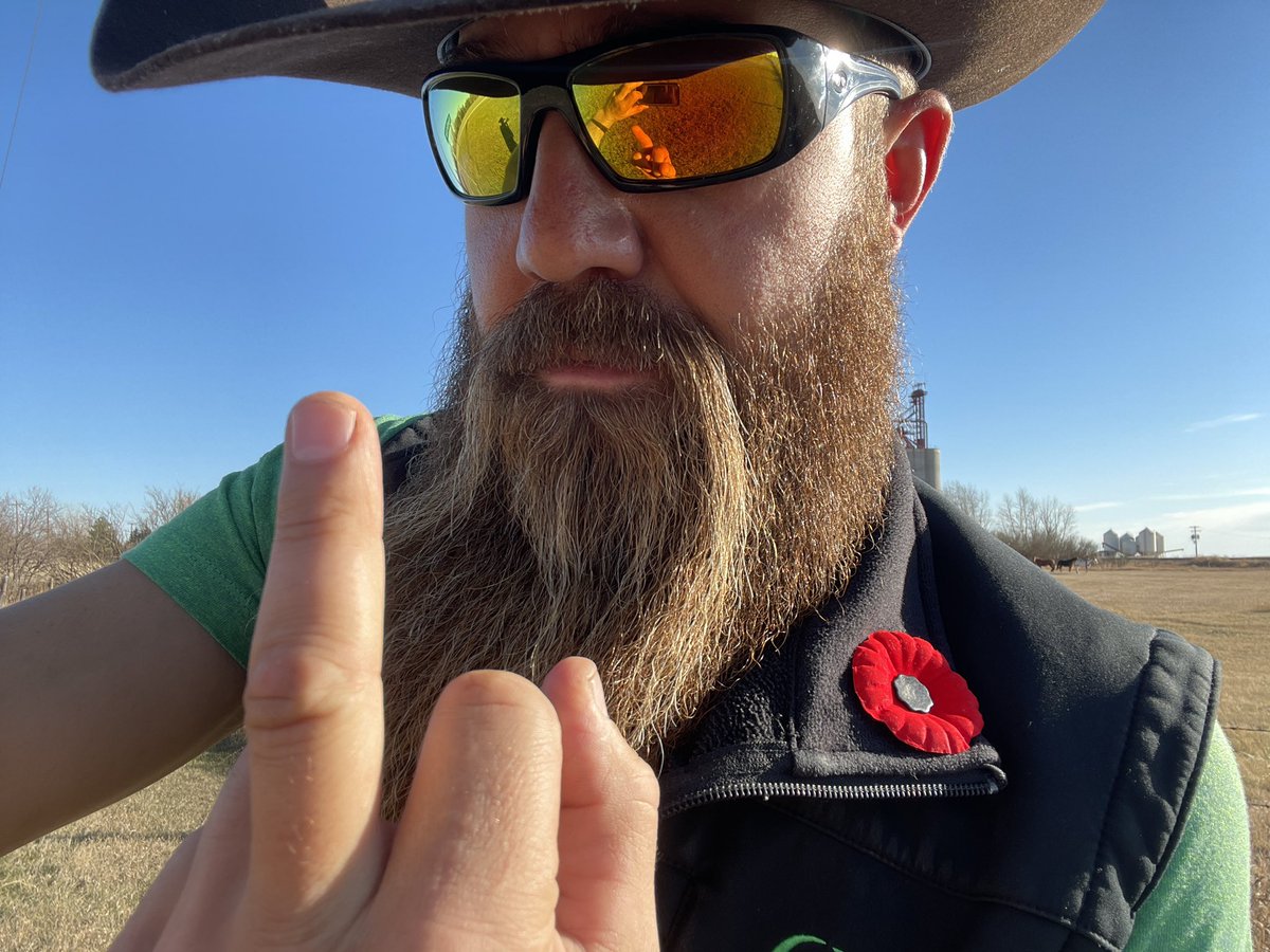 QuickDickMcDick's tweet image. I wear this for veterans, not for your bullshit.