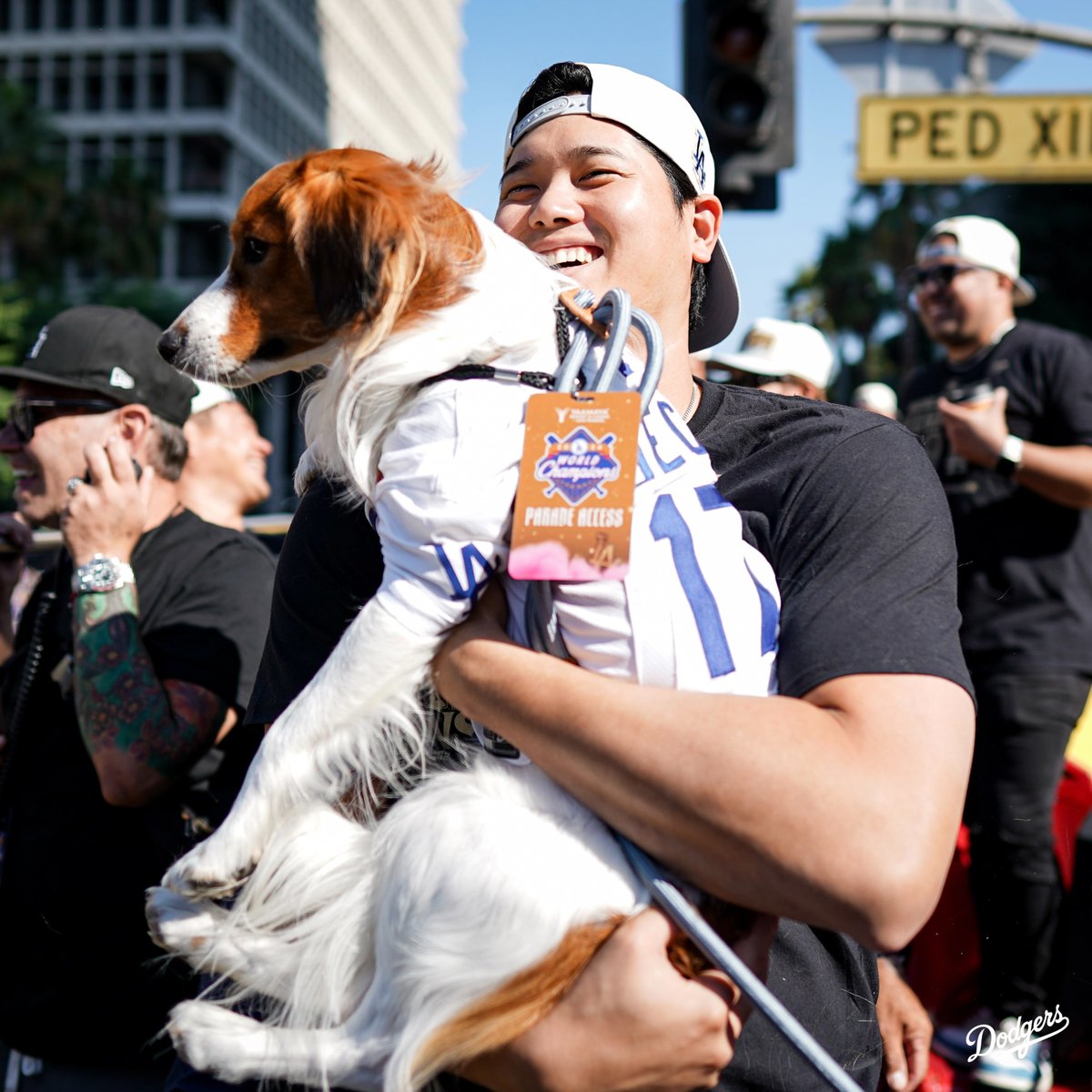 Dodgers's tweet photo. Decoy, you’re a World Series Champion! https://t.co/qSLL7RZ8OS