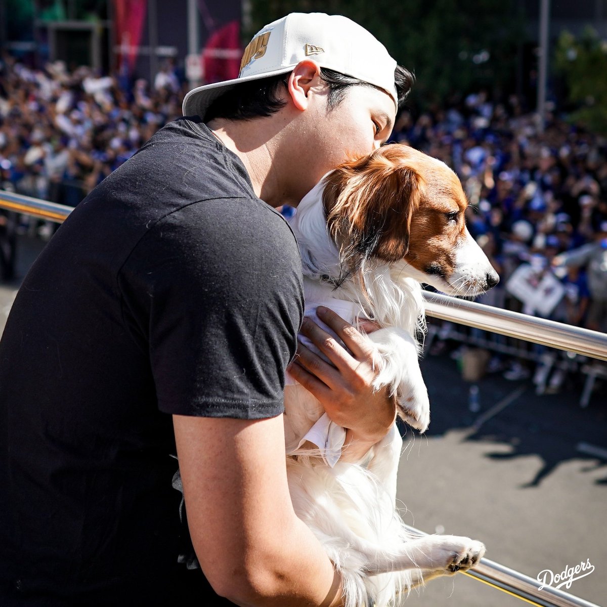 Dodgers's tweet photo. Decoy, you’re a World Series Champion! https://t.co/qSLL7RZ8OS