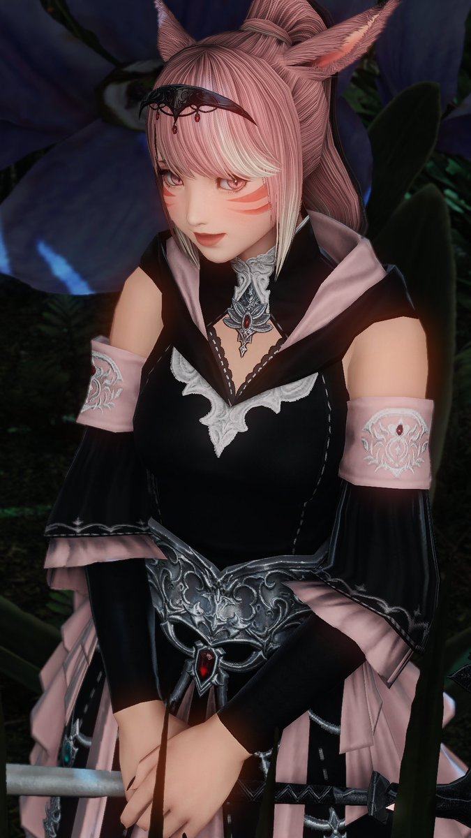 Momo 🌸 tweet media