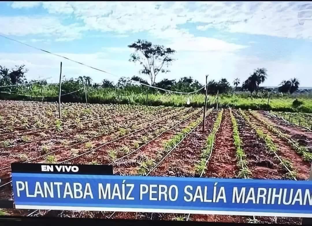 capturebizarre's tweet photo. Que distraído https://t.co/IaYc7ulqYH