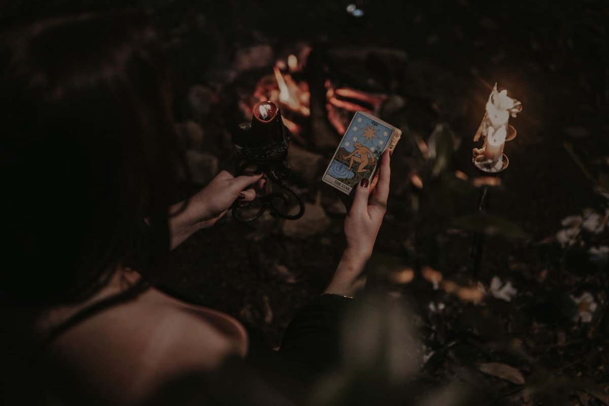 Daimonic Datura ⍼ 🪷 🐸 (reality enjoyer) tweet media