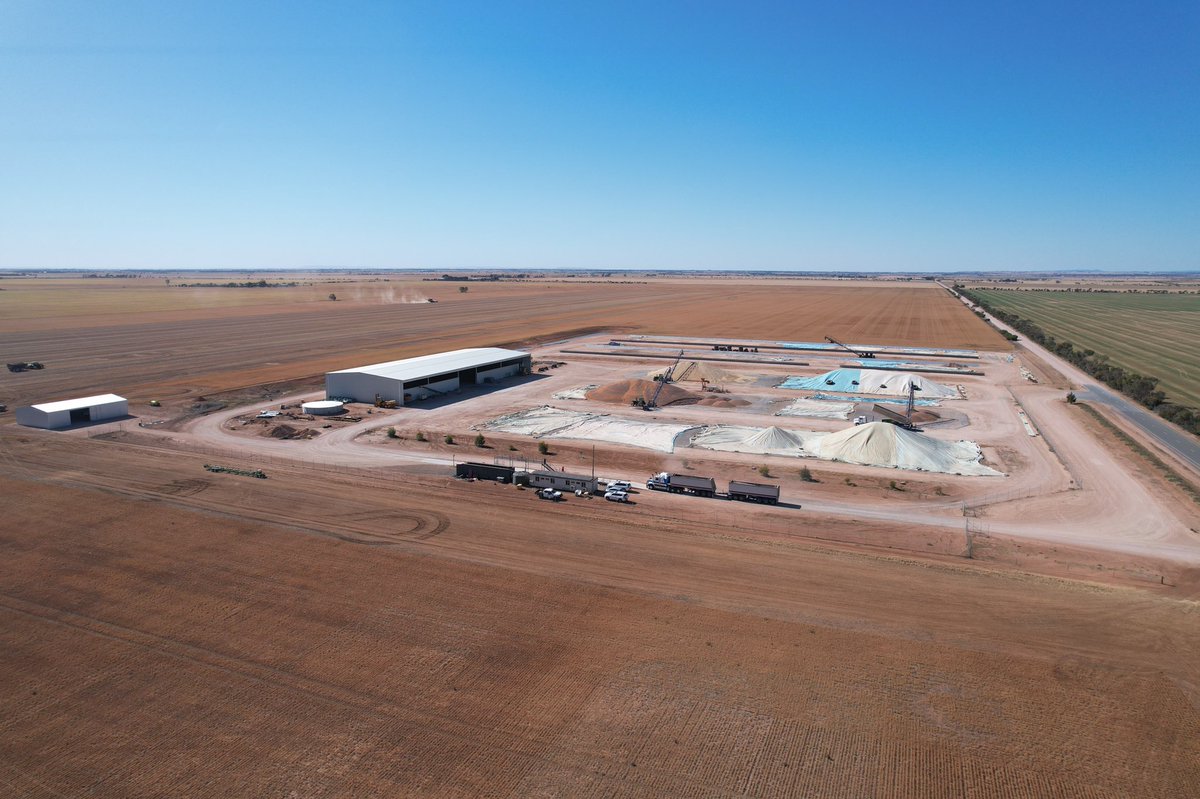 You know harvest has started when you have a traffic jam in the morning #lentils