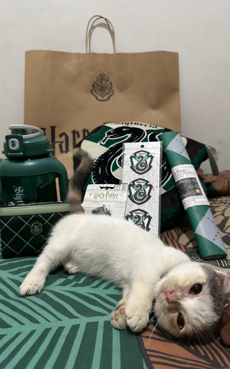 HellBunnyofc's tweet photo. Enoki for Slytherin 🍄‍🟫🥰 https://t.co/EjSGkIBkLR