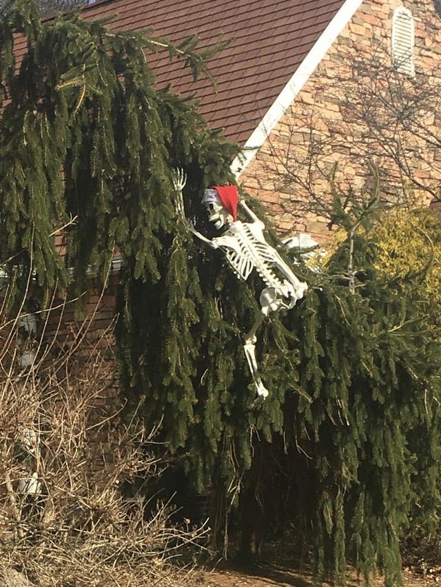 therlwrites's tweet photo. HOA: Please take down your halloween decorations

Me: What halloween decorations? https://t.co/3iMZ47TLck
