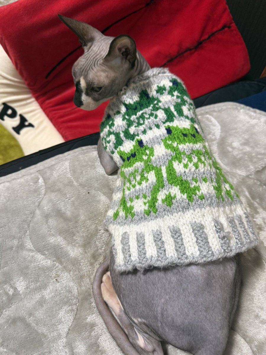 AV女優に飼われてる猫🐱❤️‍🔥 (@Sphynx_tenten) / Posts / X
