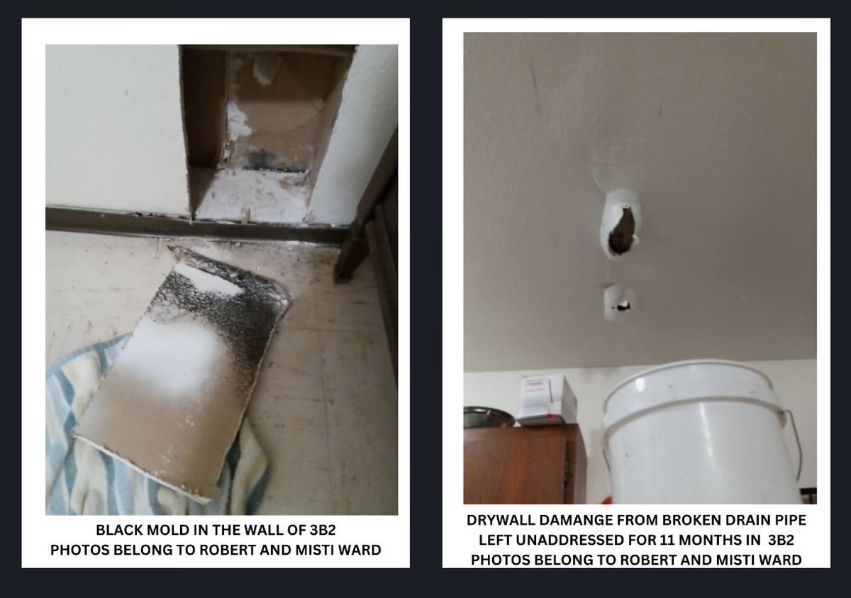 Bozeman Tenants United tweet media