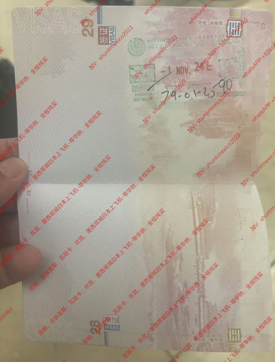 100cankunT4's tweet photo. 11月1日  秒进4位过来墨西哥旅游 https://t.co/vUv3tuSKxb