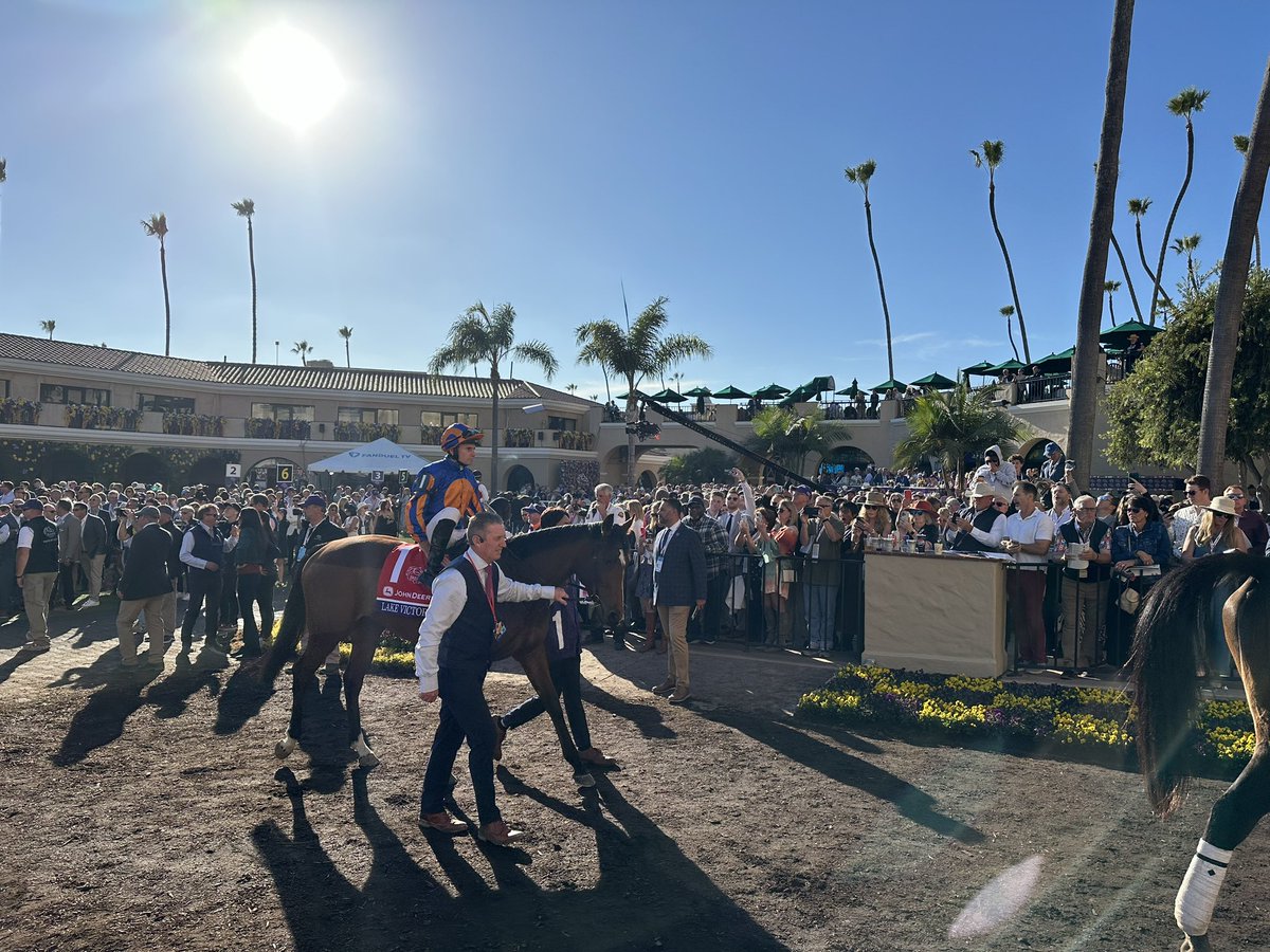 Lake Victoria. Just wow. Some filly 👏 #BC24