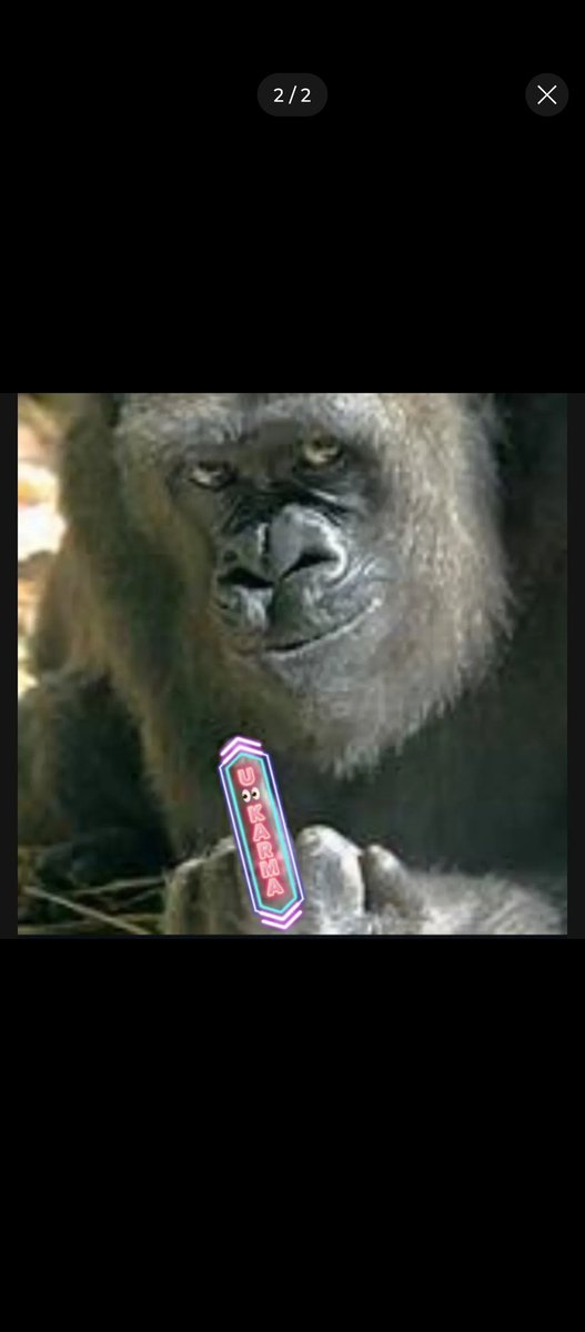 This exactly who you look like heaux. This damn gorilla. Built like him too. 😂😂😂 Bandaid on that dope. 🤣🤣