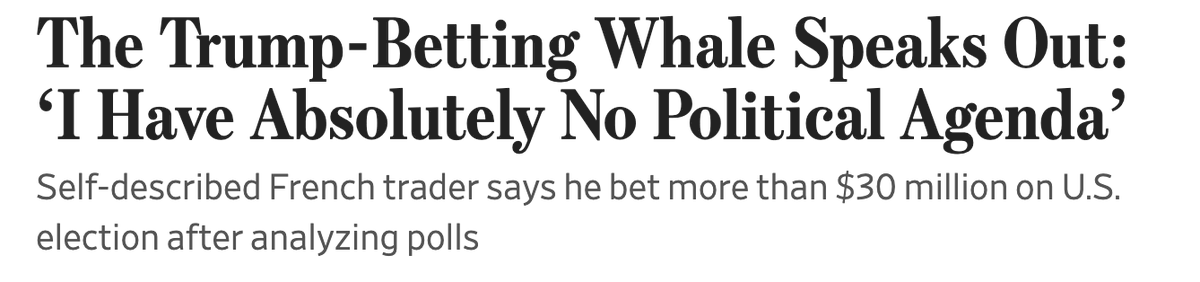 Haseeb >|< tweet media