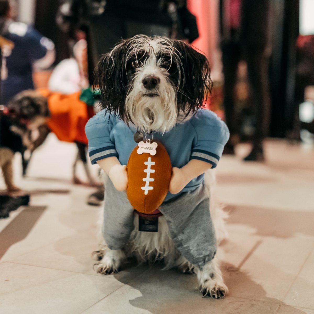 Happy Halloween!!🎃

Thank you to all the families who joined us last night at our Spooktacular Halloween event! We love seeing our community come together and celebrate with creative costumes.

See you for spooky season next year! 👻