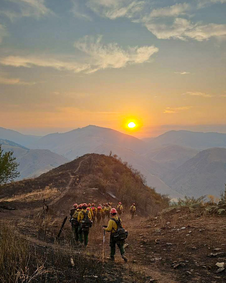 Grayback Forestry tweet media