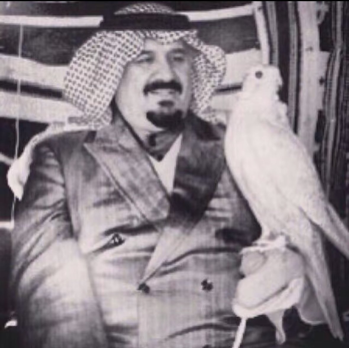VIIsul's tweet photo. موسّده و ملحّفه طيب جدّان
و المشيخه عرقٍ عليها مبيّن

اما الشبه كنها من طيور سلطان
قلّت مع العالم ... ما عاد اتعيّن https://t.co/M74fvbVX5j
