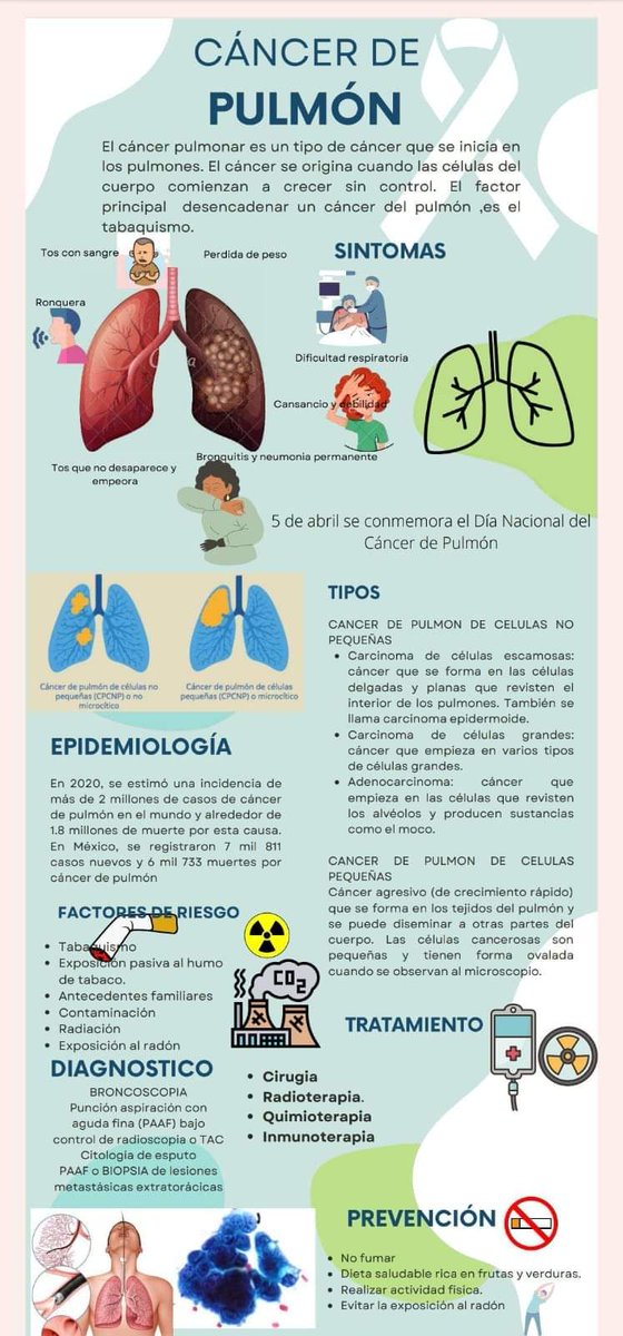 Cancerigenoss's tweet photo. Conocer es saber, aquí te dejamos los tipos y la epidemiología sobre el cáncer de pulmón.😌
#prevenciondelcancer #Cancer 
#pulmon https://t.co/L7Opfe4Elu