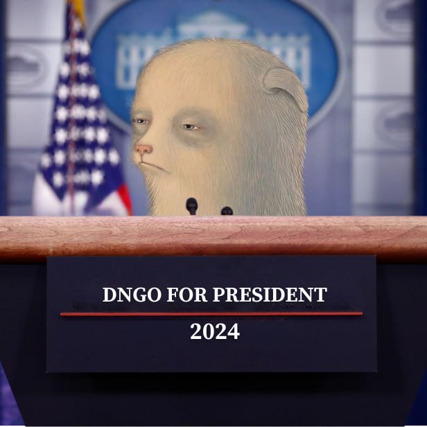 beefy_nuts69's tweet photo. @DNGO_SOLANA $dngo BREAKING NEWS: moon soon https://t.co/nFcAAcRrwA