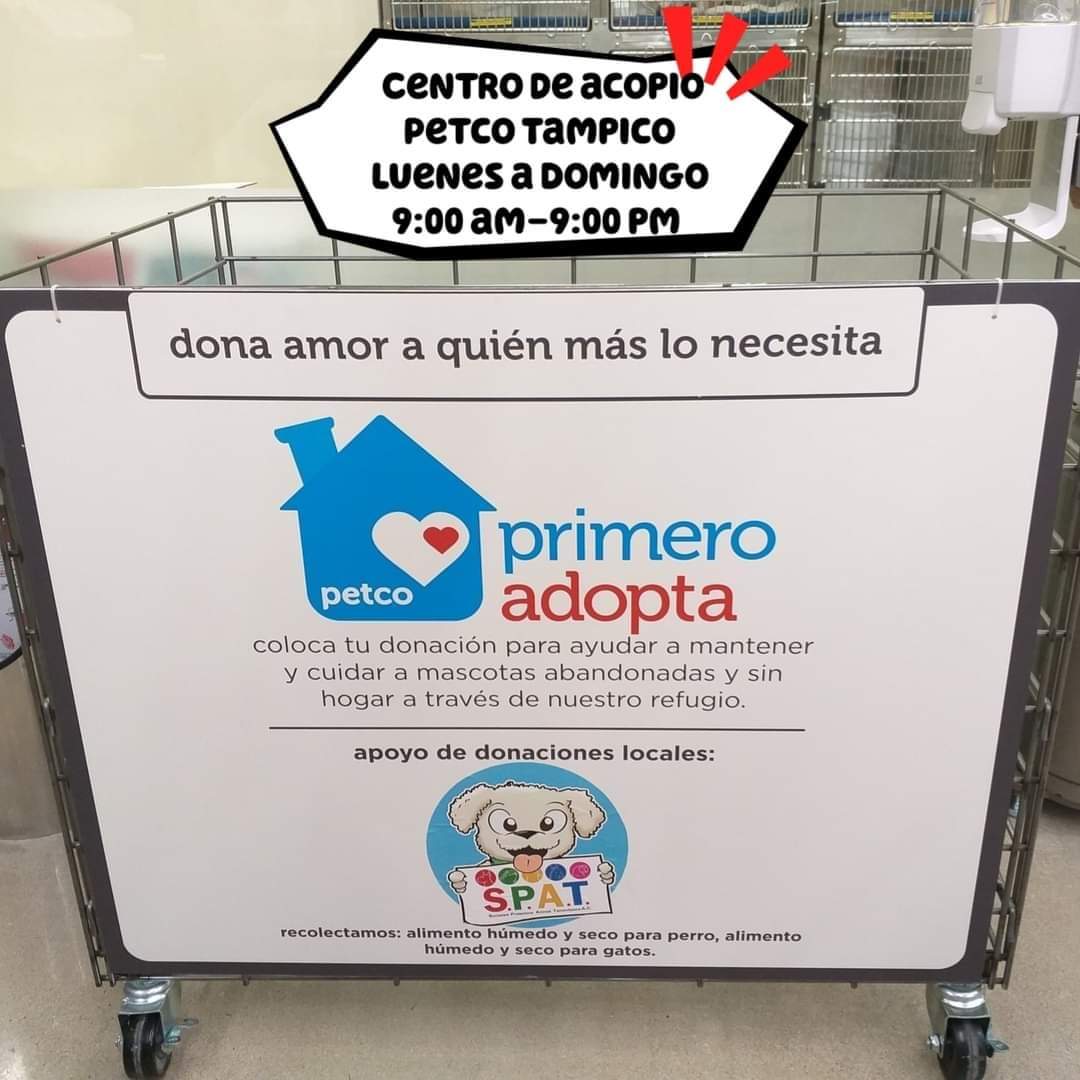 Sociedad Protectora Animal Tamaulipeca Ac tweet media