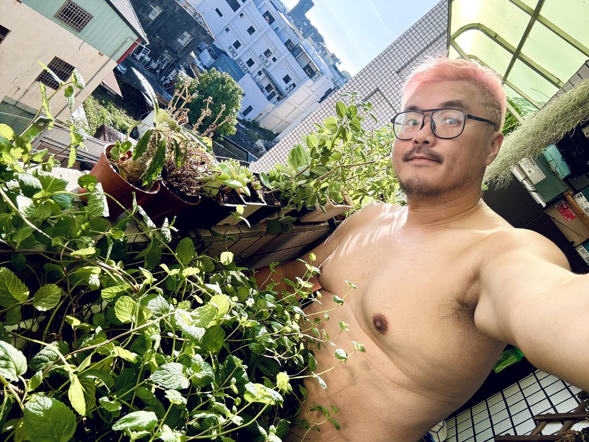 早安，整理植物一下。

#植男生活 #綠手指LV2