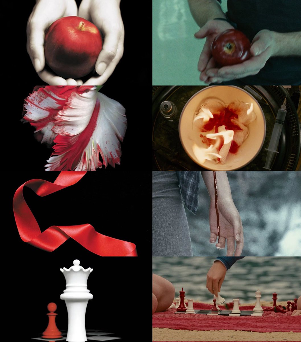 the twilight saga book covers